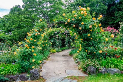 Healing Gardens, i Giardini Terapeutici